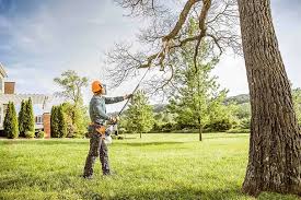 Best Leaf Removal  in Schler Park, IL